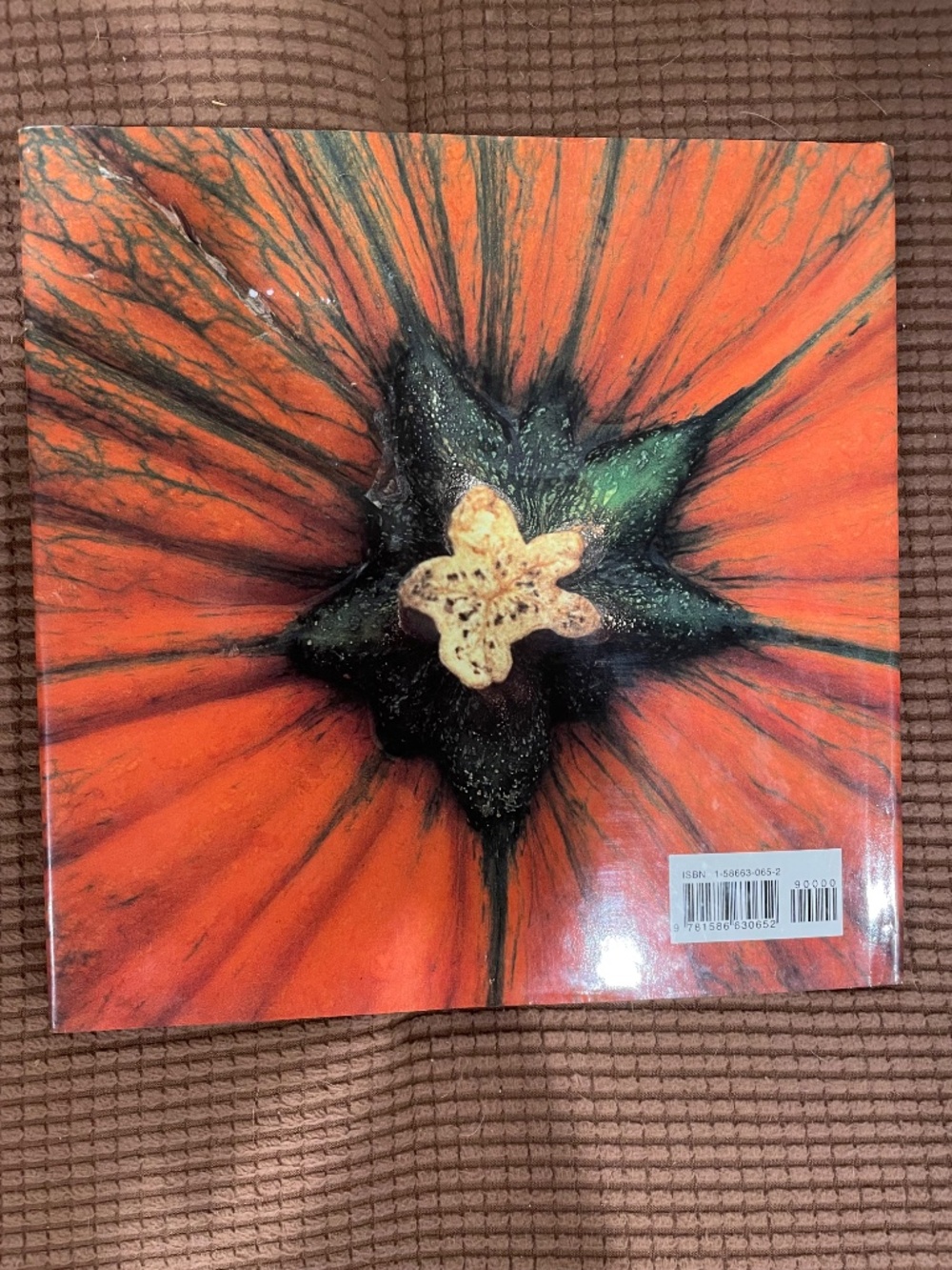 Punmpkins:  A Photographic Celebration - Hardbound - Picture 4 of 13